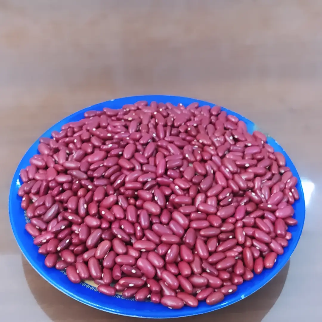 لوبیا قلمی سرت درجه یک