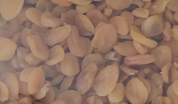 برگ قیصی ممتاز