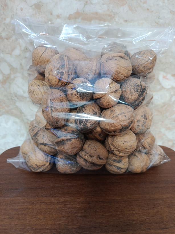 گردو ایرانی